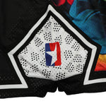 Raptors Mens Sports Short Quick Dry Polyester Vintage Basketball Shorts with Pocket