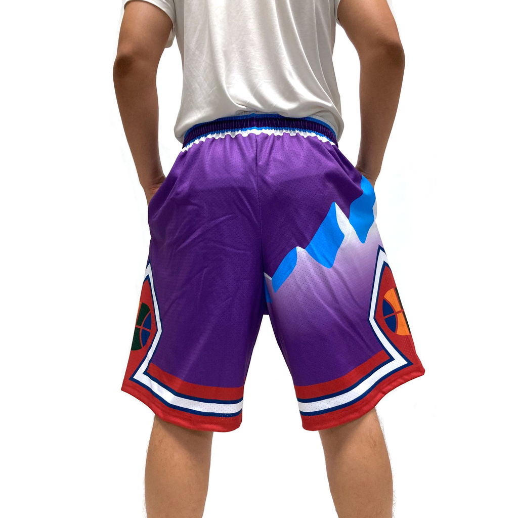 Toronto Raptors Shorts Purple - Basketball Shorts Store  Sport shorts men,  Black shorts men, Nba basketball shorts